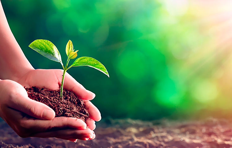 BJLƽ̨(�й���)����