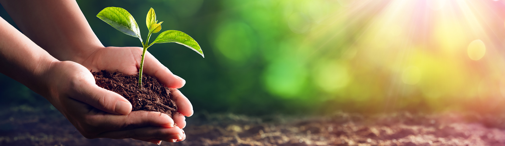 BJLƽ̨(�й���)����